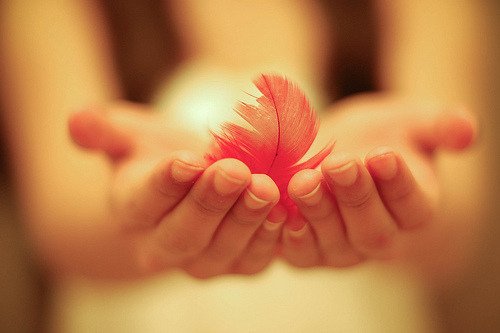 53bfc4a90ca30240.jpg!600x600